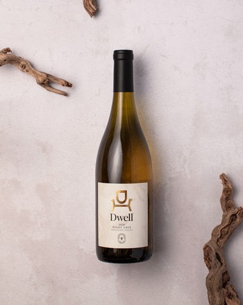 Dwell Pinot Gris 2020