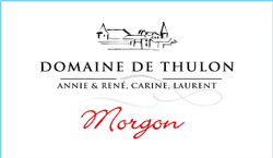 Domaine de Thulon Morgon 2020