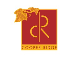 Cooper Ridge Late Harvest Riesling 2013
