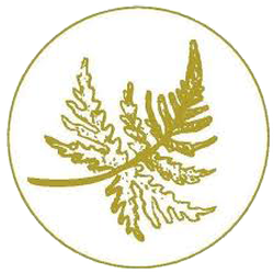Goldback Syrah 2019